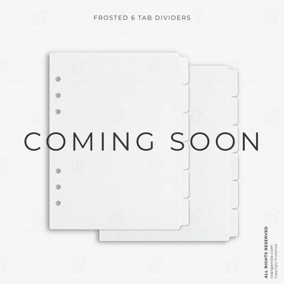 • 2-Pack of Frosted A5 Planner Dividers
• 6 Tabs per Pack, 12 Tabs in Total
• Frosted Design for a Clean, Minimalist Look
• Six-Ring Punched Pages
• Ideal for Organising Planner Sections
• Compatible with Your Roarganiser