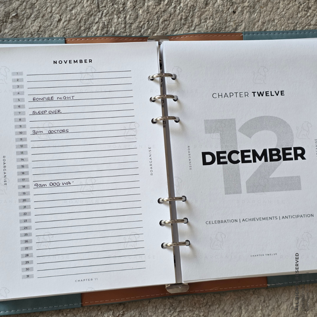 December dashboard insert, December monthly planner, celebration planner, positive December message, undated A5 planner, Christmas planning, festive organisation, ADHD planner inserts, autism friendly planner, Roarganise