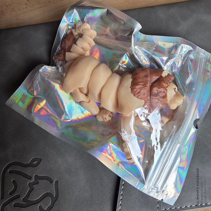 3D Fidget Lion & Lioness Sensory Toys