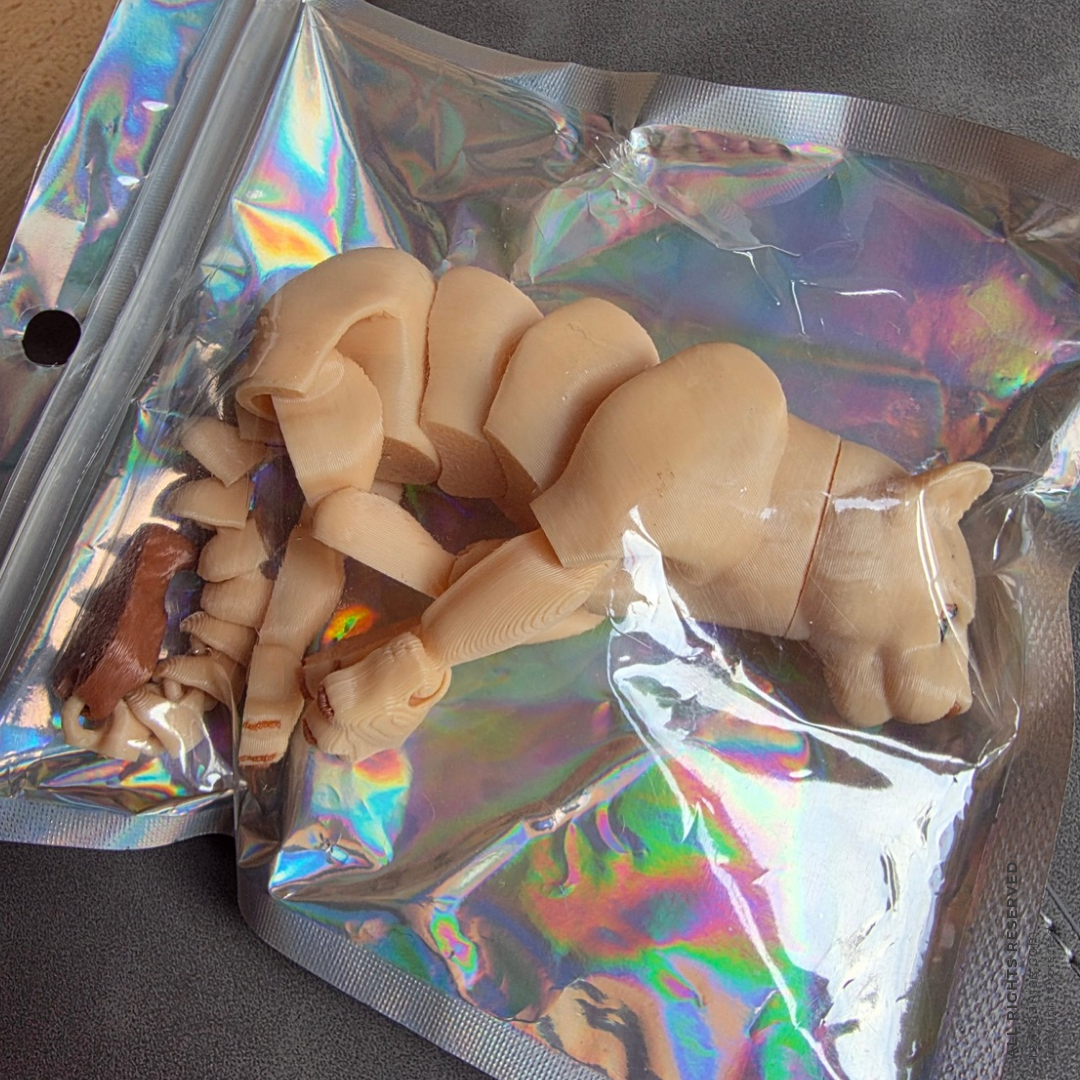 3D Fidget Lion & Lioness Sensory Toys